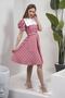 Vintage Red Gingham Mobile White Collar Watermelon Sleeve Flared Dress (Dress-White Collar) - 4