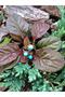 Natural Stone 3-Piece Turquoise Natural Stone Embroidered Adjustable Women's Ring - 2