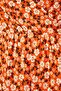 Orange V-Neck Floral Patterned Knitted Dress TBBSS22EL1638 - 7