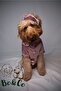 Köpek Saten Pijama - 2