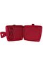 Lunch Box 23556 with Lion Figure - 3