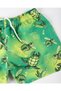 Multicolored Boys' Sea Shorts Swimsuit - 2