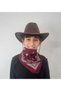 Children's Unisex 8 - 14 Years Suede Cowboy Hat Claret Red Bandana Gift Boxed Delivery - 5