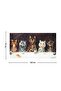 Cats Louis Wain Wall Cover Rug 70x100, 100x140, 140x200 - 3