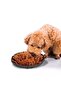 Dog Slow Feeding Mat Food Puzzle Mat - Dog Interactive Toy Brown - 2