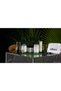 250ml Color Care and Protective Shampoo - For Chemical Treated and Injured Hair - 2