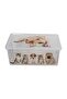 Light Box Cats and Dogs Transparent Decorative Storage and Toy Box - 10 Liters