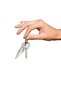 Orora Silver Color 35mm Fairycore Leaf Figure Keychain - 2