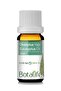 10ml Rosemary Oil and 10ml Eucalyptus Oil Set - 5