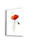 Unbreakable Glass Collage Drawing Red Rose Painting