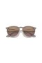 Rb4171600068 54 Unisex Sunglasses - 6