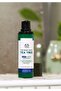 Tea Tree - Night Lotion Against Acne Stains - 2