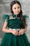 Girl's Shirt Collar Chest and Sleeves Tulle Detailed Wednesday Green Dress - 3