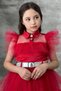 Girl's Shirt Collar Chest and Sleeves Tulle Detailed Wednesday Red Dress - 3