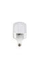 20 Watt Torch Led Ampul