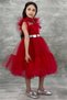 Girl's Shirt Collar Chest and Sleeves Tulle Detailed Wednesday Red Dress - 4