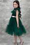 Girl's Shirt Collar Chest and Sleeves Tulle Detailed Wednesday Green Dress - 4