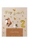2 Year Old Butterfly Mini Birthday Set Metalized Butterfly Gold Number Gold Hapyy Lettering Brown Color Balloon
