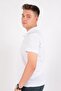 Caz 4124 Polo Yk. T-Shirt (2023 Summer) - 2