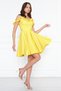 Yellow Hanging Neck Boat Ruffle Detail Woven Fabric Pleated Mini Flared Evening Dress - 2