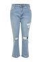 Açık Mavi Yüksek Bel Yırtık Detaylı Esnek Büyük Beden Skinny Jeans TBBSS22JE0187 - 6
