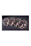 Bicycle Evolution 2.0 Game Card Limited Edition Collectible Playing Cards Deck - 5