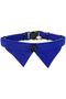 Velvet Bell Collared Cat Collar - 3