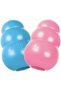 Puppy Small - 3