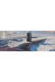 USS OHIO