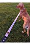 Daydream Standard Dog Collar Set and Accessories (with scarf and bow tie) - 3