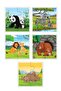 5 Pieces Wooden 4 Piece Puzzle Baby's First Set (Lion_Bear_Panda_Zebra_Gergeden) - 5
