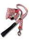 Watermelon Standard Dog Collar Set and Accessories (with scarf and bow tie)