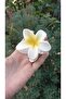 Lotus Flower Pastel White Color Latch Buckle (8cm) - 5