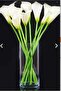 Decorative Cylinder Glass Bamboo Live Dry Flower Vase 10X20 cm - 2