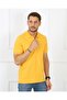 2061 LYCRAL PİKE POLO NECK REGULAR FIT MEN'S T-SHIRT - 2
