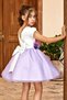 Girl's Lilac Dress with Flower Waist and Buckle and Fluffy Tulle Skirt - 4