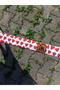 Watermelon Standard Dog Collar Set and Accessories (with scarf and bow tie) - 6