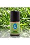 Laurel Organic Lemongrass Oil, Bergamot Oil, Patchouli, and Tamarix Oil 5ml. 3-Pack - 2