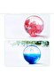 Epoxy Silicone Sphere Mold 5cm - 7