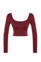 Burgundy Seamless/Seamless Crop Extra Stretchy Knitted Sports Top/Blouse TWOAW22BZ0450 - 6