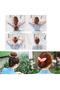 Hair Care Brush Silicone Massage Comb Shower Brush + 1 Piece Elia Bun Buckle - 2