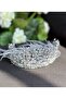 Luxury crystal stone feathered bridal henna engagement crown design rendering queen crown shiny silver grey - 2