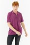 MEN'S POLO COLLAR T-SHIRT R-8713 - 2
