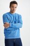 Regular Fit Sweatshirt - 4