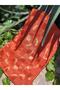 Women's Hijab Silky Cotton Jacquard Shiny Checker Pattern Shawl*orange - 3