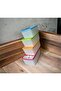 Hobby Life 4-Piece Alaska NoFrost Large Storage Container Freezer 3.5 Lt - 2