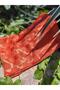 Women's Hijab Silky Cotton Jacquard Shiny Checker Pattern Shawl*orange - 5