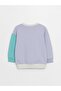 Crew Neck Printed Baby Boy Sweatshirt - 2