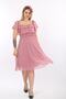 Women's Collar Belted Plus Size Rose Chiffon Dress - 5