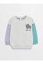 Crew Neck Printed Baby Boy Sweatshirt